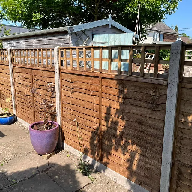 fencing and trellis